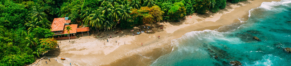 Une destination de voyage tropicale avec une plage de sable et une mer turquoise.